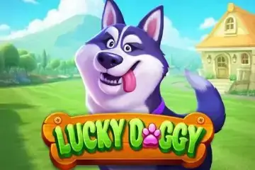 Lucky Doggy - Spin City - Congo